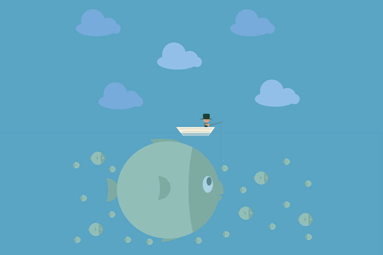 Chào mừng đến với Typecho-Hello World